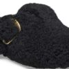 Boston Big Buckle Fur Boston Big Buckle Fur