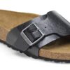 Catalina Birko-Flor Graceful Licorice Catalina Birko-Flor Graceful Licorice