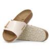 Catalina Cushion Buckle Synthetik Catalina Cushion Buckle Synthetik