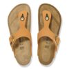 Gizeh Big Buckle Nubuk Leather