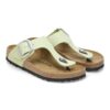 Gizeh Big Buckle Nubuk Leather