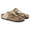 Gizeh Big Buckle Nubuk Leather